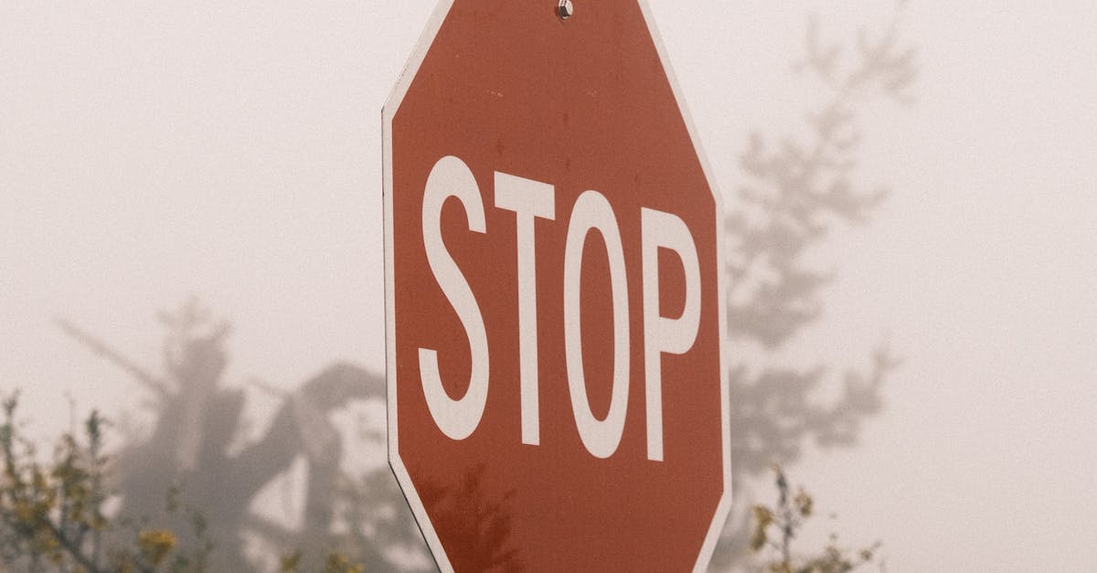 Restricții de circulație pe drumurile din Timiș din cauza caniculei