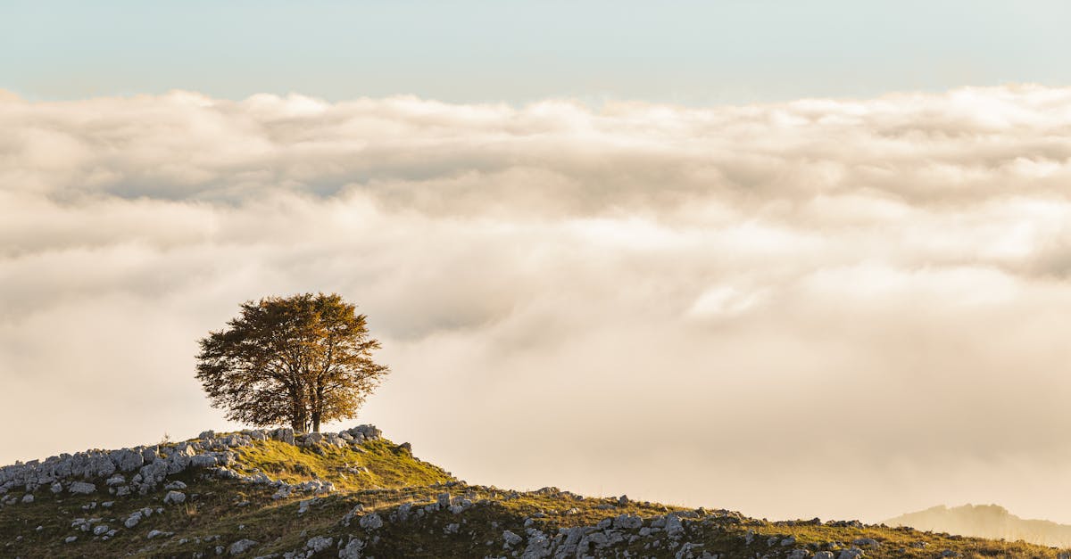Italia se confruntă cu temperaturi record în acest weekend