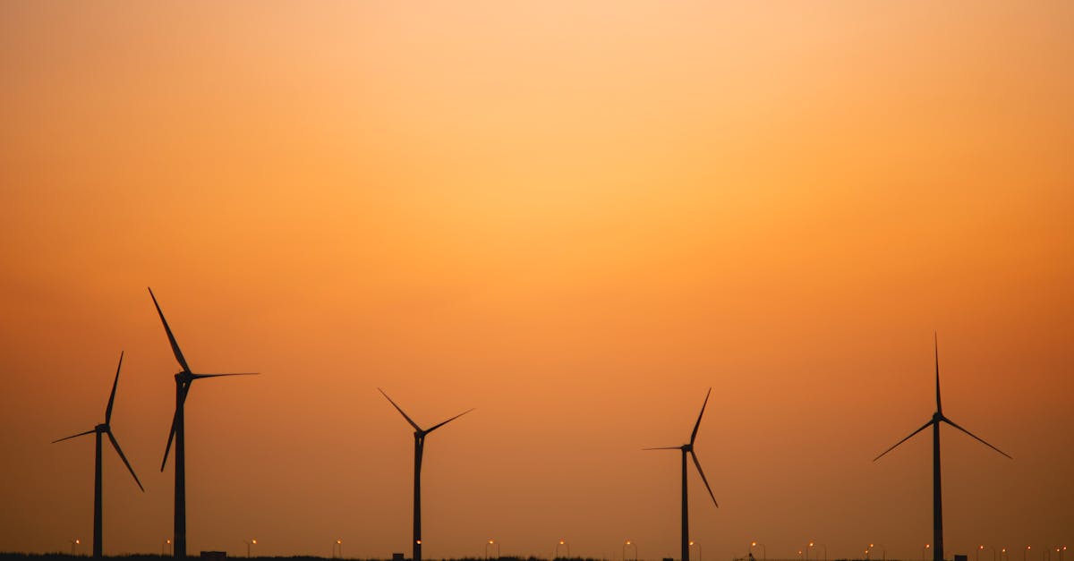 Cum să schimbi furnizorul de energie electrică fără griji