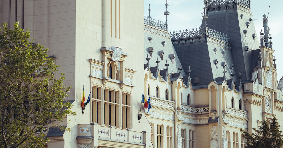 Nicuşor Dan discută despre priorităţile României la Consiliul European