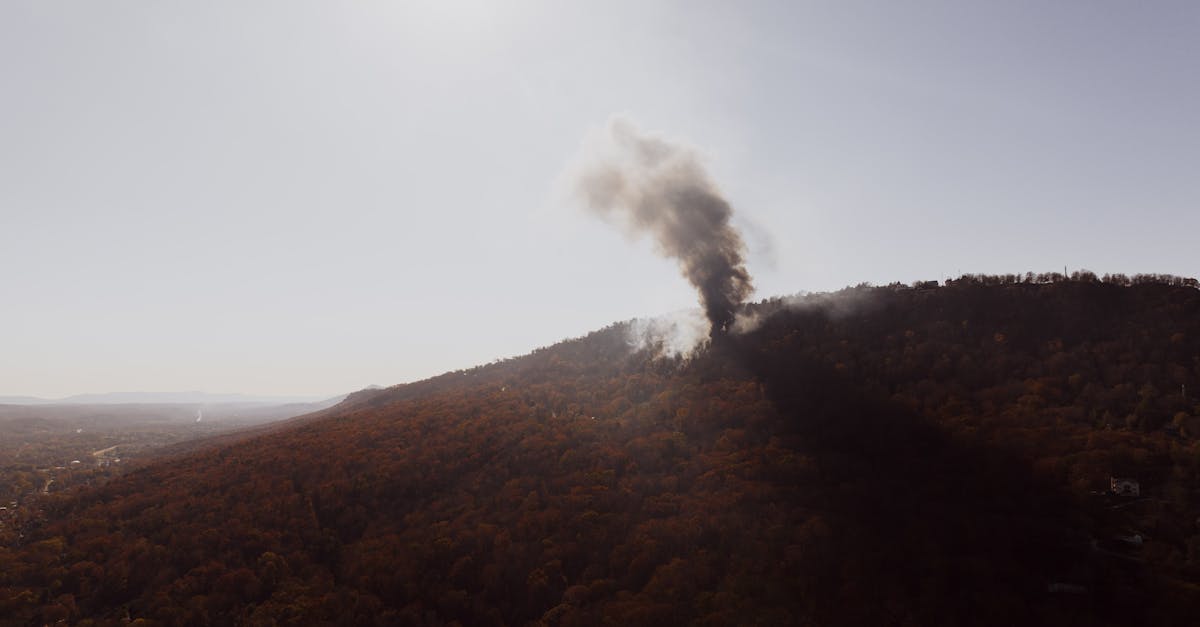 Incendiul devastator de la Stația Meteo Vlădeasa: o tragedie naturală