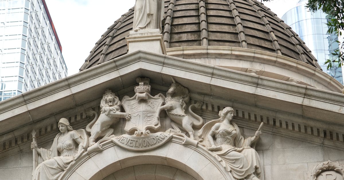 Roxana Ioana Petcu revine la conducerea Inspecției Judiciare