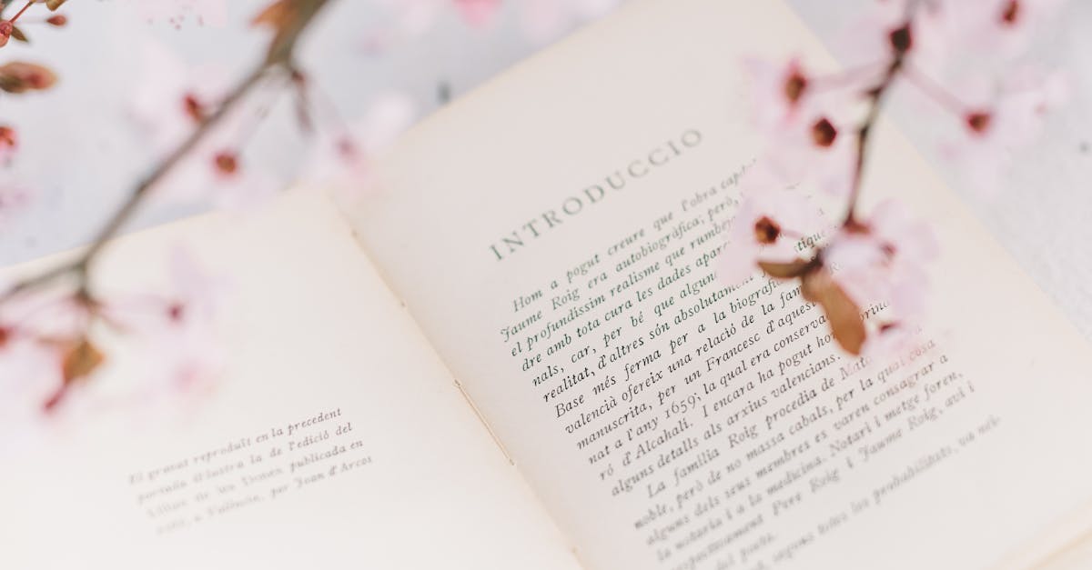 O celebrare literară la Marga: Nopțile de Sânziene strâng iubitorii de cultură
