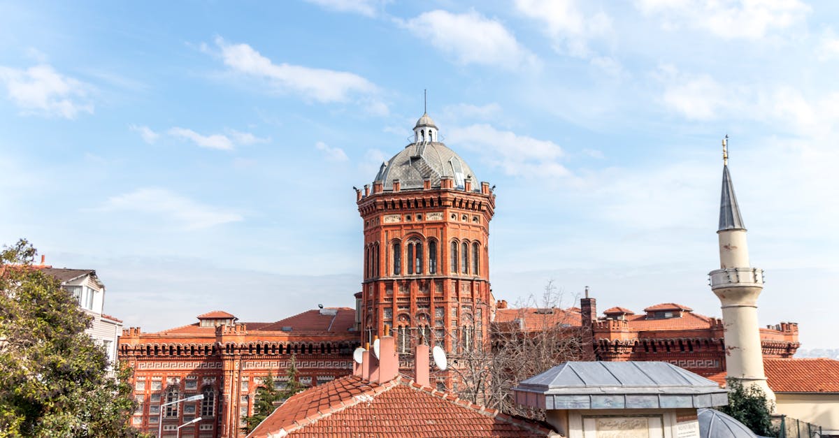 Cinci școli din Timiș primesc titlul de „Școală Europeană” în 2025