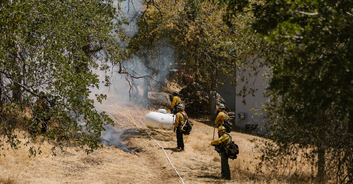 Incendii devastatoare în sudul Atenei: riscuri crescute de noi focare