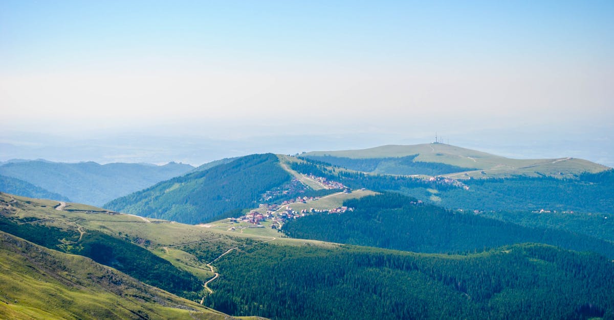 Nouă organizație pentru promovarea turismului în Delta Dunării