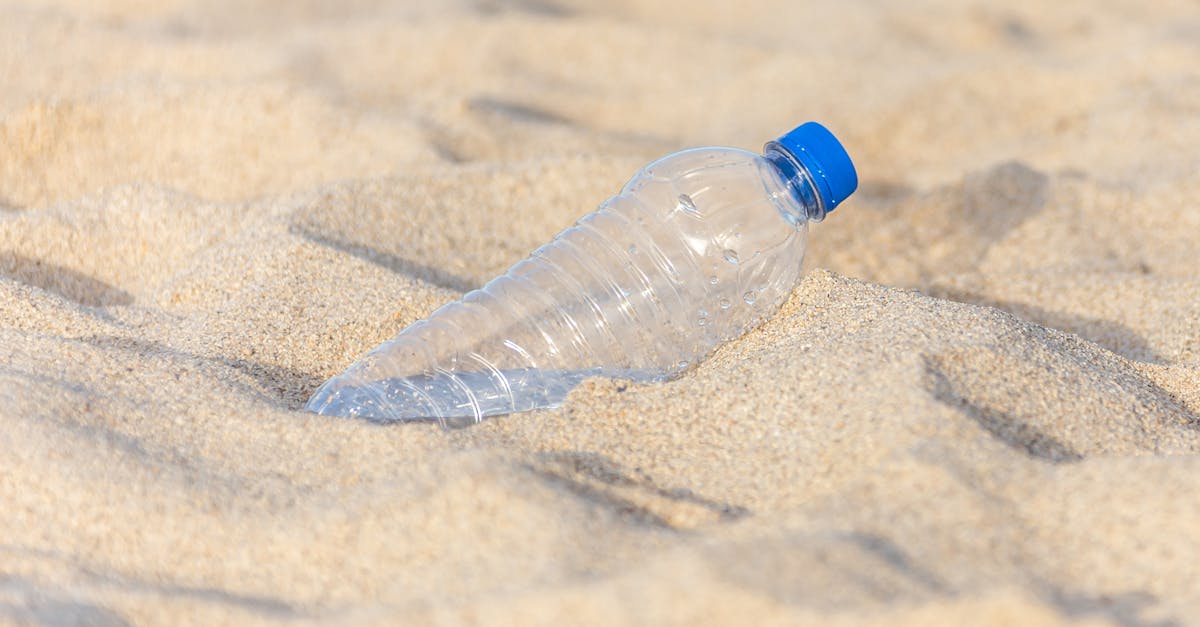 Acțiuni de curățare în Delta Dunării: 20 de saci de deșeuri strânși de pe plajă