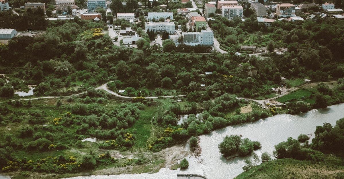 Decizia surprinzătoare a consiliului local Vaslui în cazul unui teren disputat de patronul hotelului