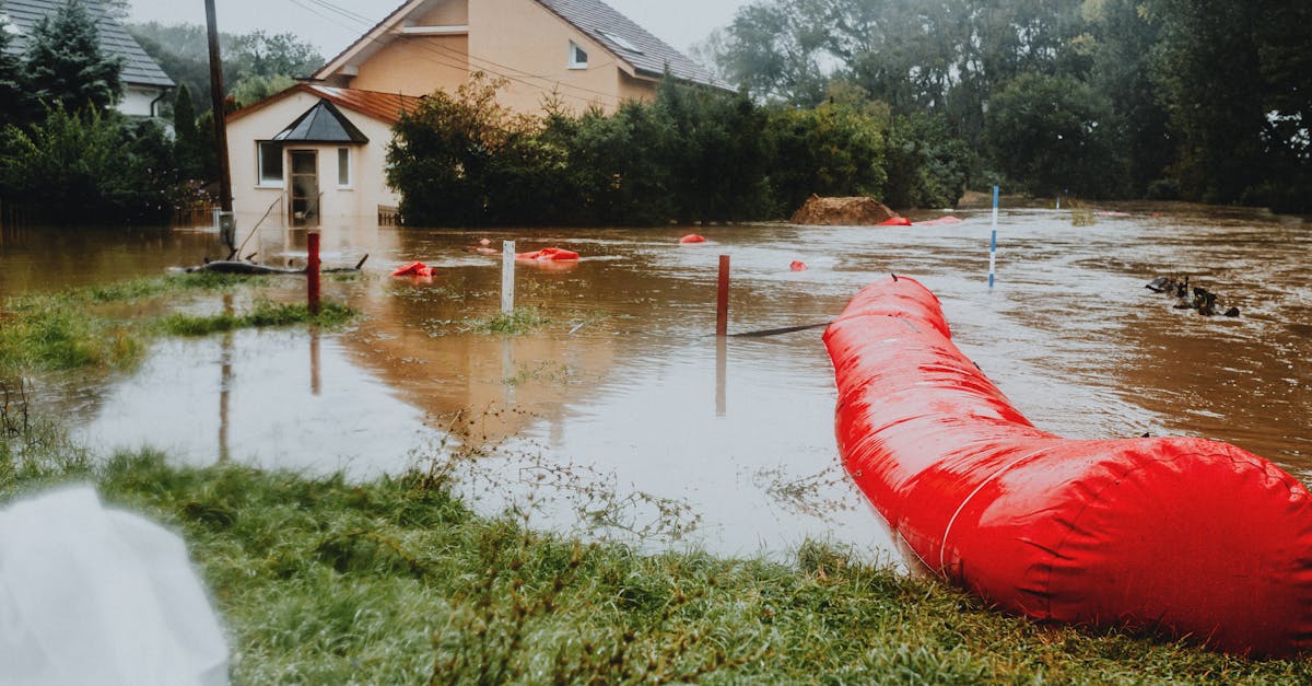 Vaslui sub avertizare meteorologică: ploi și vijelii iminente