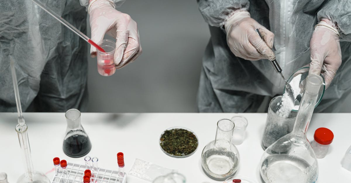 Topul țărilor cu cel mai mare consum de cocaină: descoperiri surprinzătoare