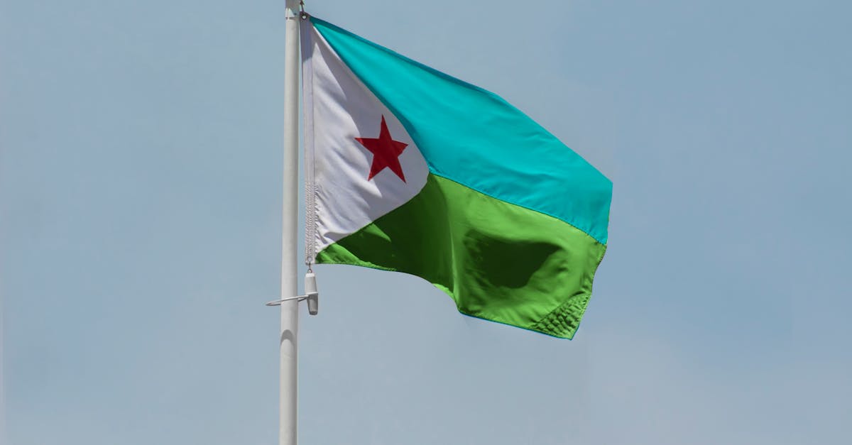 Republica Djibouti: Sărbătoarea Zilei Naționale și istoria relațiilor cu România