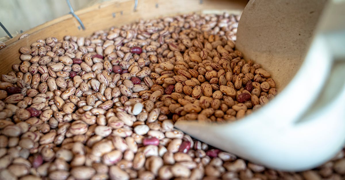 Lista actualizată a alimentelor cu prețuri plafonate până în septembrie 2025
