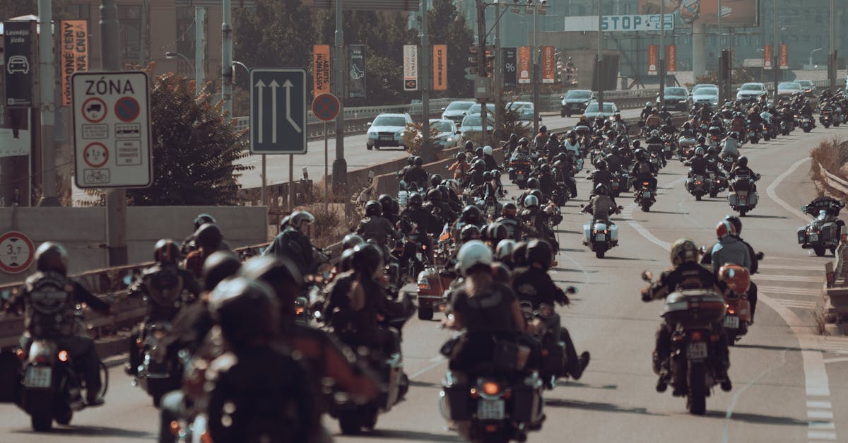 Pedalare prin istorie: un velotur tematic în Timiș