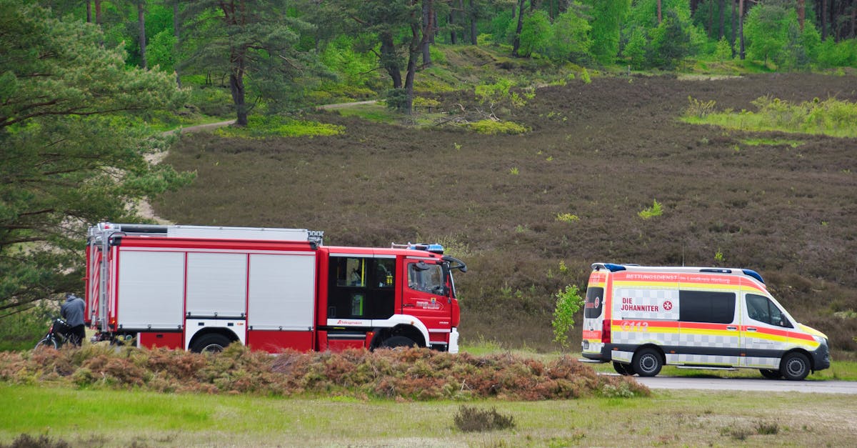 Pompieri români ajută Franța în lupta cu incendiile de pădure