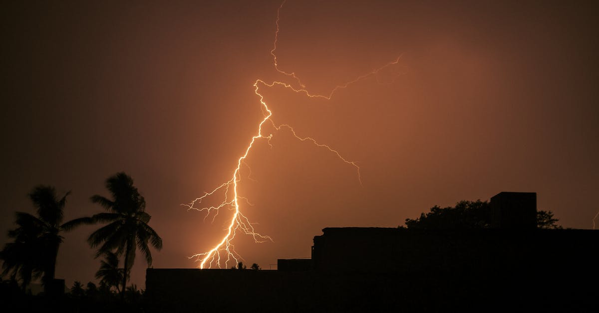 Alerte meteo în România: Cod galben de vânt puternic și caniculă