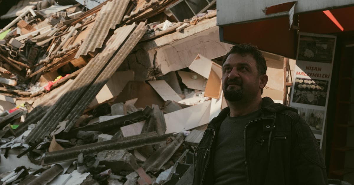 Tragedie la Tâmpa: un tânăr a murit după ce un copac a căzut peste el