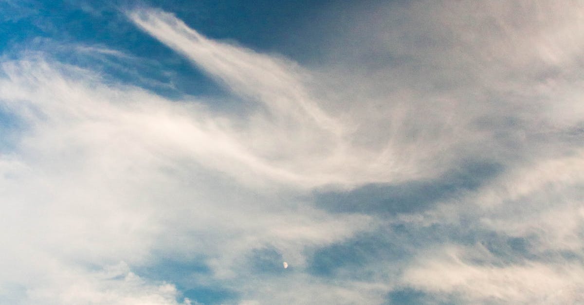 Canicula revine în Alba: prognoza meteo pentru săptămâna 30 iunie – 6 iulie