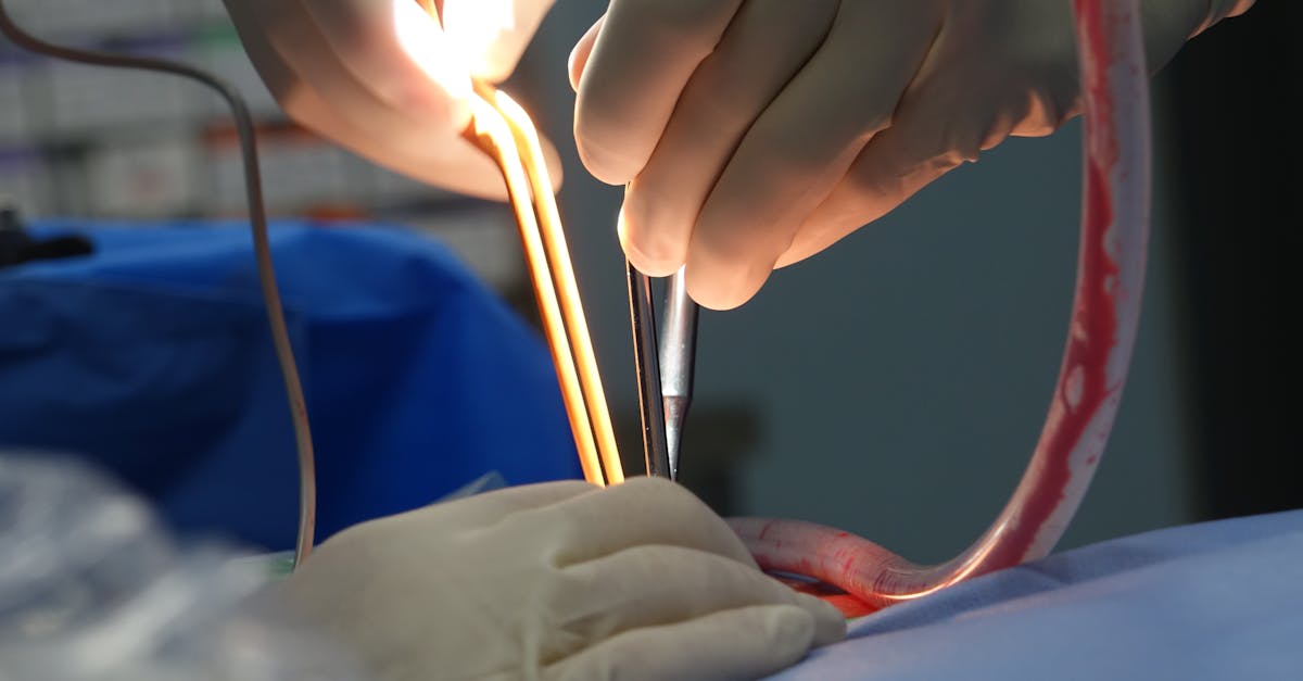Elena Udrea, internată de urgență la spital după o criză de sănătate