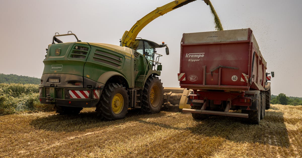 Agresie inexplicabilă asupra unui agricultor din Teleorman