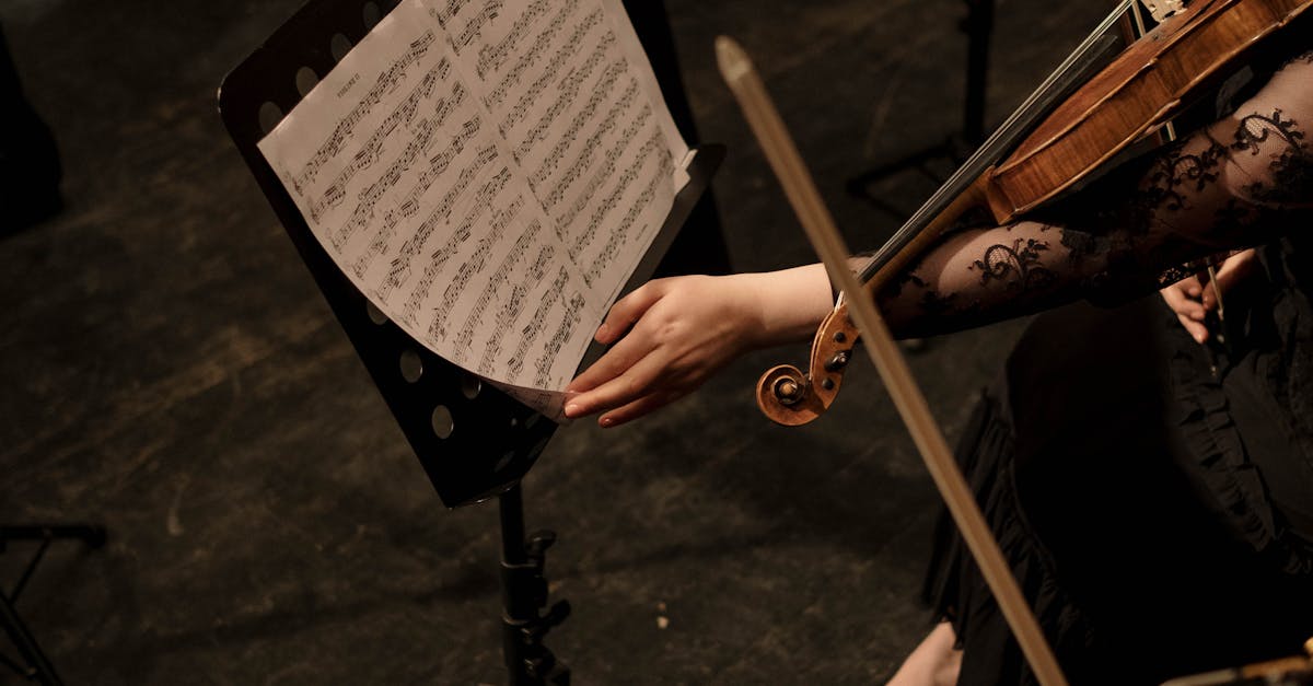 Un concert de neuitat: Alexandru Tomescu și Stradivarius la Castelul Bethlen-Haller