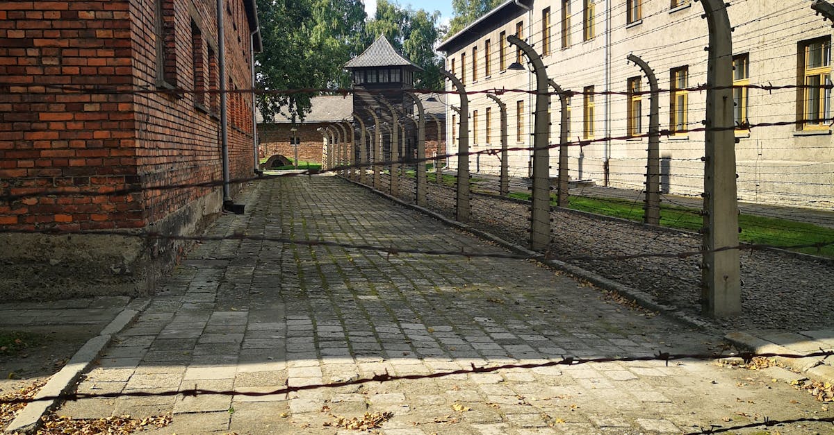 Mărturii cutremurătoare ale unei supraviețuitoare a Pogromului de la Iași din 1941