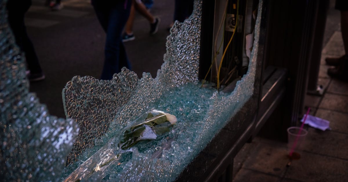 Agresiune și vandalism pe o stradă din București: două femei atacate de bărbați