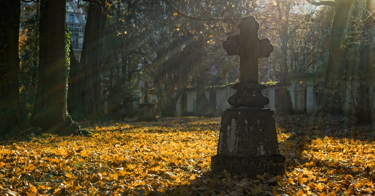 Descoperirea misterioasă din pădurea buzoiană: crucile ciumaților