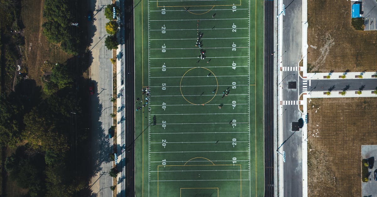 Vești bune pentru Timișoara: Stadionul Dan Păltinișanu va fi construit