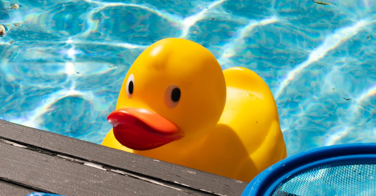 Descoperă cele mai populare piscine și ștranduri din Alba pe timpul verii