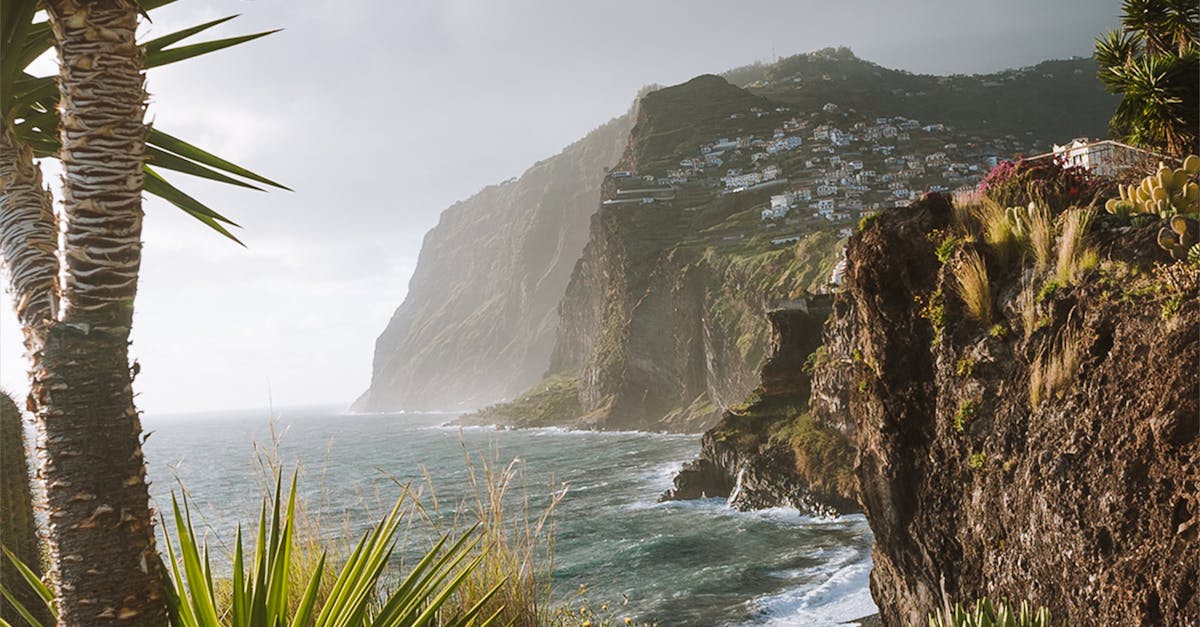 Descoperă Madeira: costurile vacanței pe insula florilor