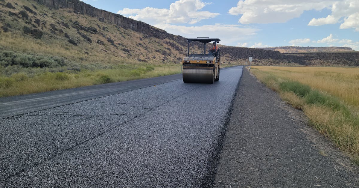 Investiții în infrastructură: drumul Sintea Mare-Șepreuș beneficiază de asfalt nou