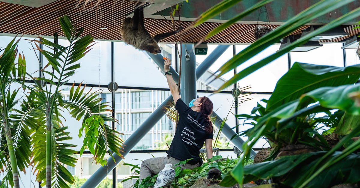 Parteneriatul Zoo Brașov în programul LIFE: un pas important pentru conservare