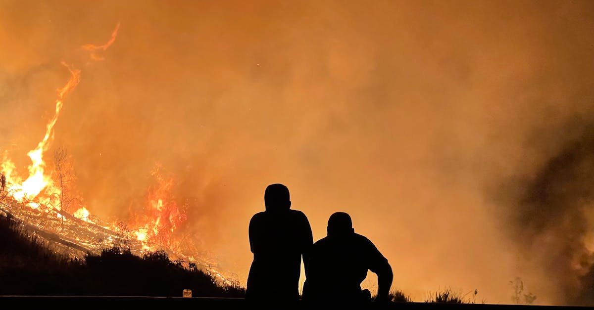 Incendii devastatoare în Izmir în plină caniculă: Europa se confruntă cu temperaturi record
