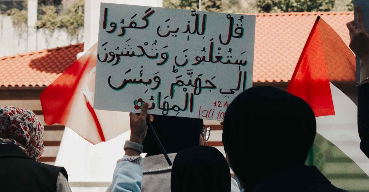 Solidaritatea feminină: un apel urgent la acțiune în fața violenței domestice