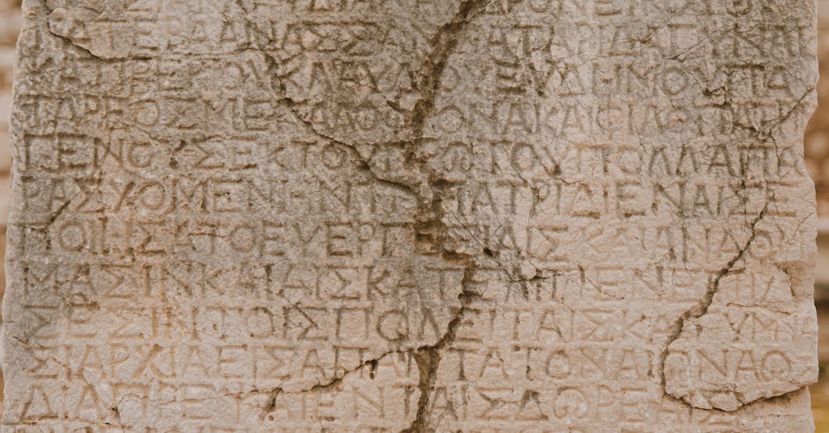 Descoperire arheologică remarcabilă în Vrancea, cu o vechime de 7.500 de ani