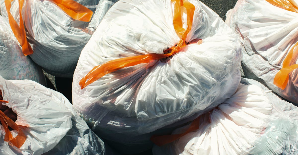 Timișoara dezvoltă infrastructura de reciclare cu trei noi centre de colectare a deșeurilor