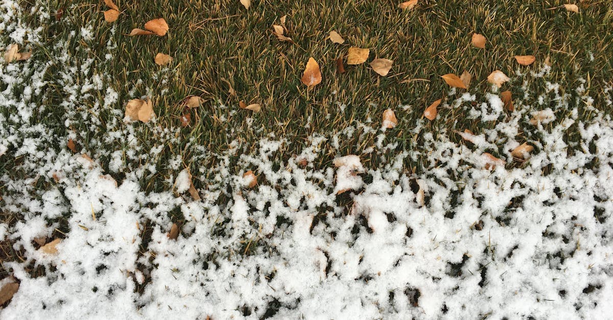 Franța și Spania se confruntă cu valuri extreme de căldură: temperaturi record