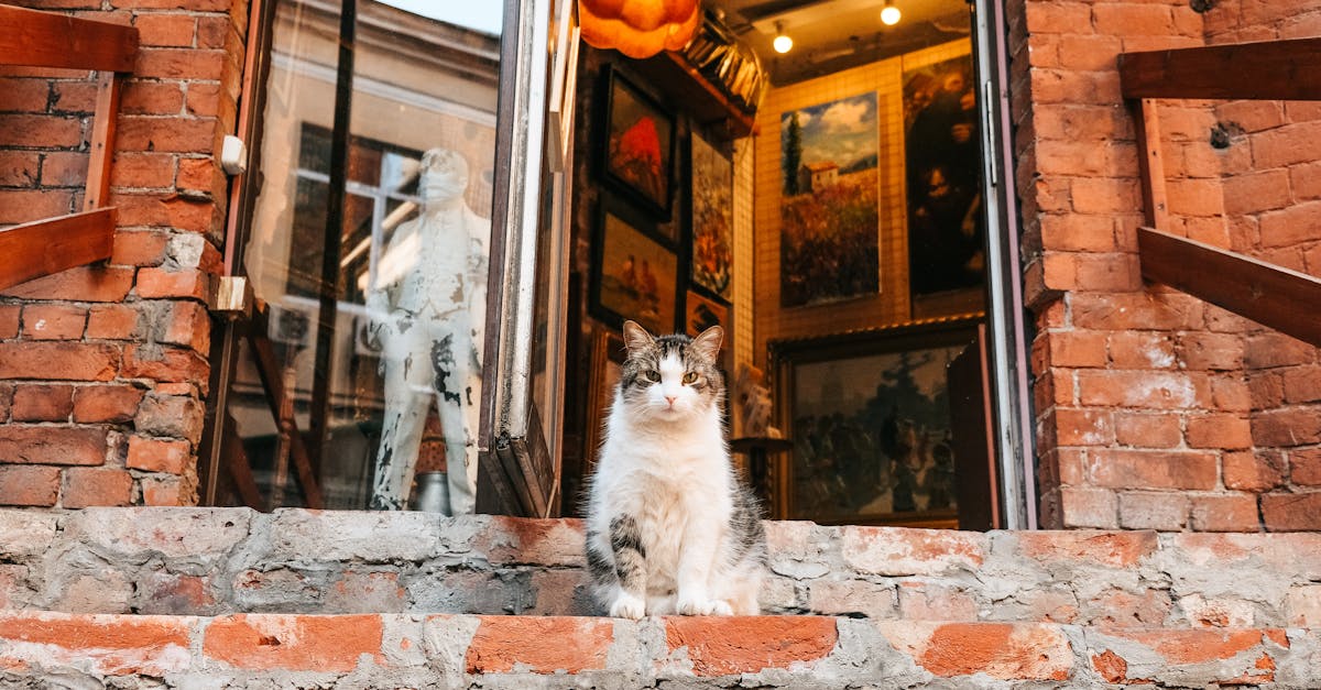 Descoperă expoziția de animale de companie din Luduș