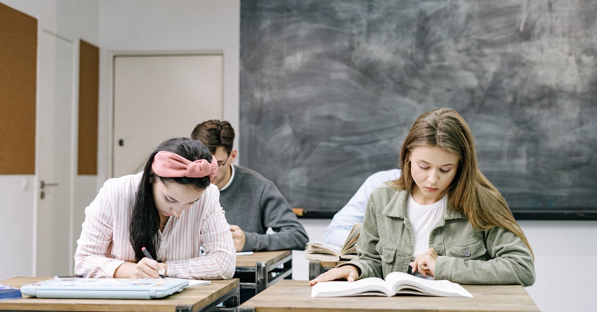 Liceele din Timiș: Promovabilitate record la BAC 2025 și rezultate surprinzătoare