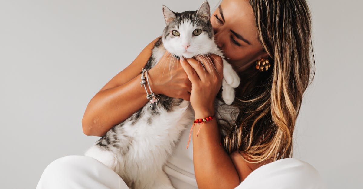 Cât de de încredere este un pet sitter pentru pisici în Cluj-Napoca?