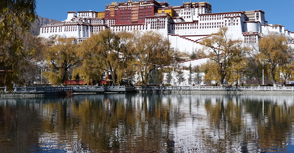 Succesorul lui Dalai Lama: cum va fi ales liderul spiritual tibetan