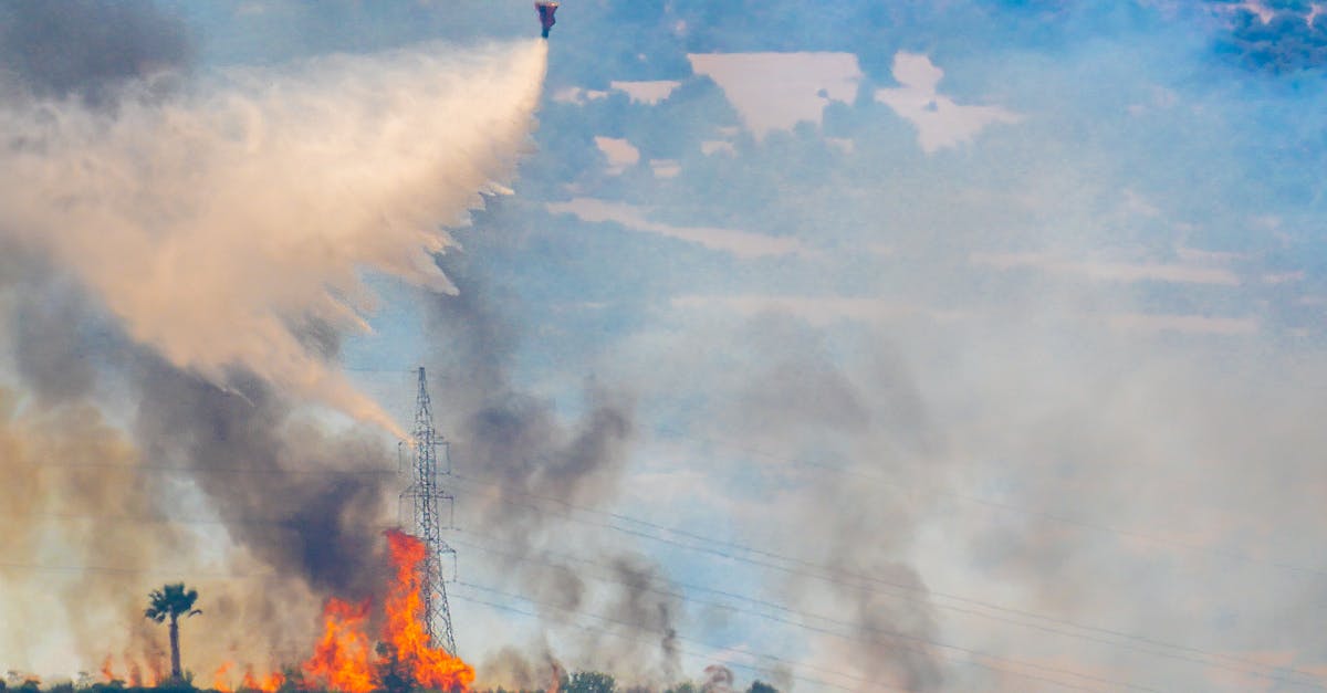 Incendiu devastator în Strungari: peste 20 de hectare afectate și sute de intervenții