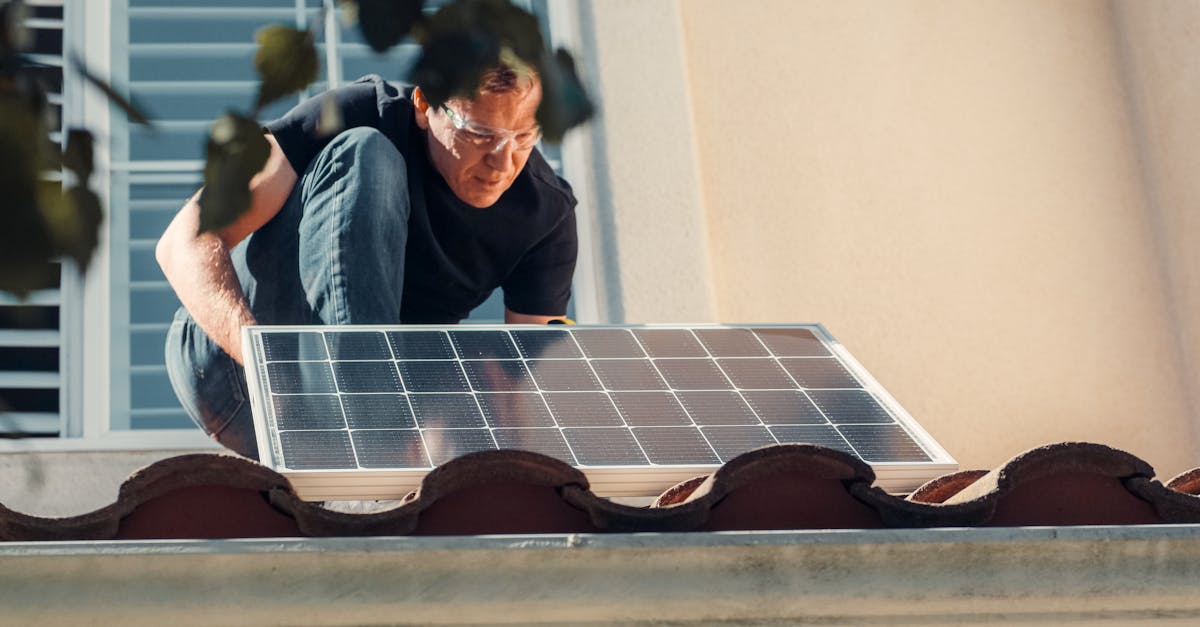 Noua școală ecologică din Valea Lupului: când începe construcția?