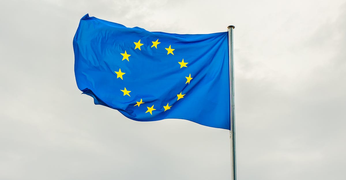 Moțiunea de cenzură împotriva Comisiei Europene ajunge în plen săptămâna viitoare