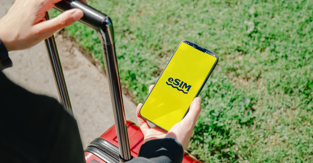 Cum să economisești pe internetul mobil în vacanțe, fără roaming clasic