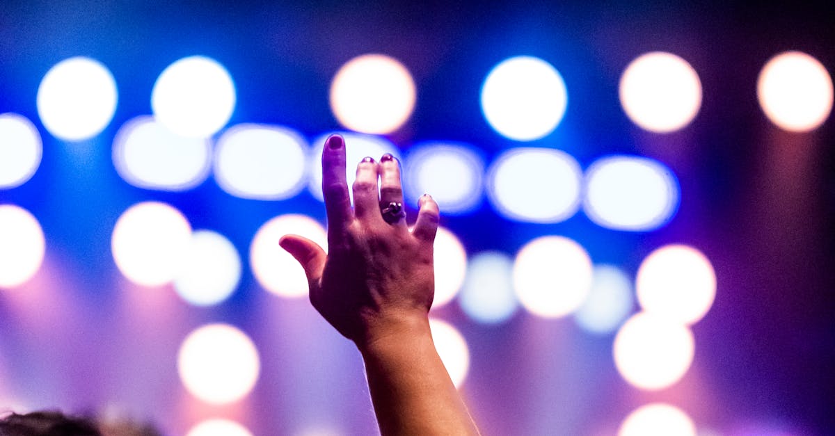 VIBE Festival 2025: O celebrare vibrantă a muzicii și culturii pe malul Mureșului