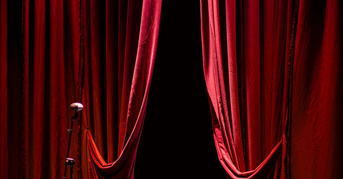 Directorul Teatrului Maghiar din Timișoara dezvăluie planurile pentru noua stagiune
