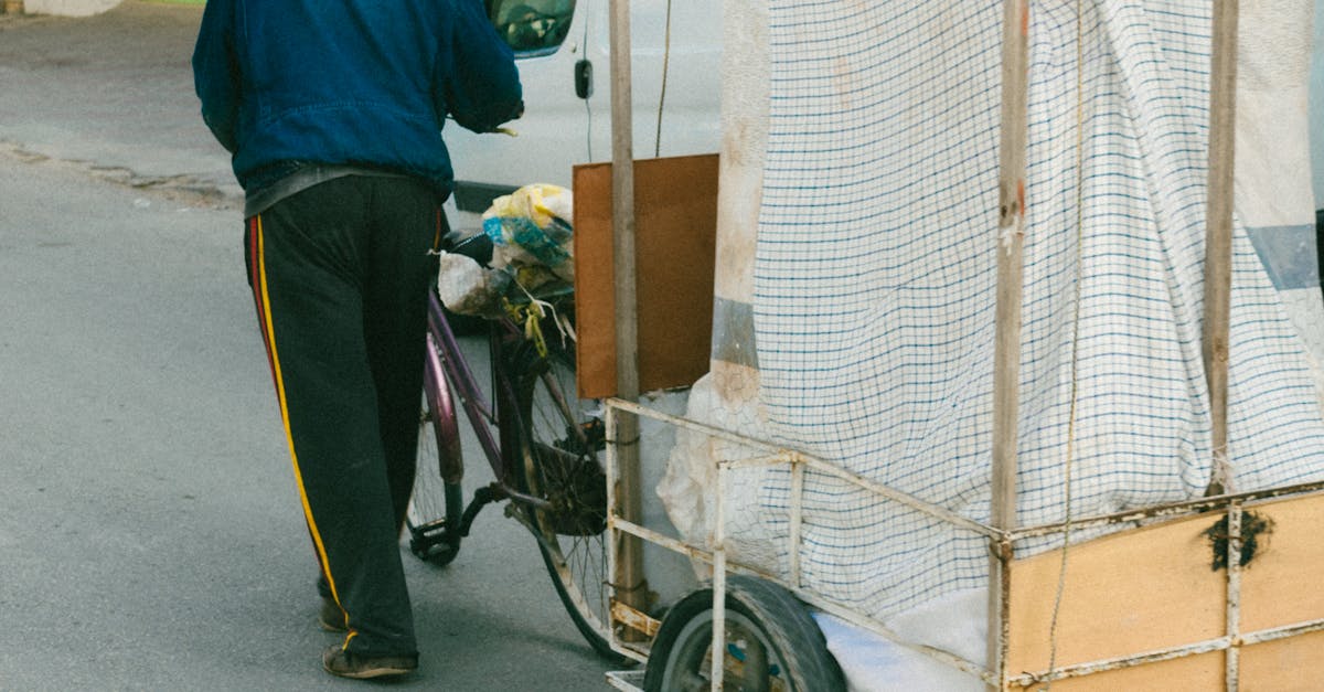 Căruțele devin alternativa eco în Cluj: O nouă tendință pe străzi