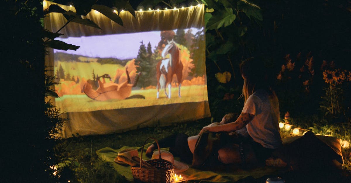Festivalul Arini Fest Cinema aduce filmele lui Soderbergh în aer liber la Sibiu