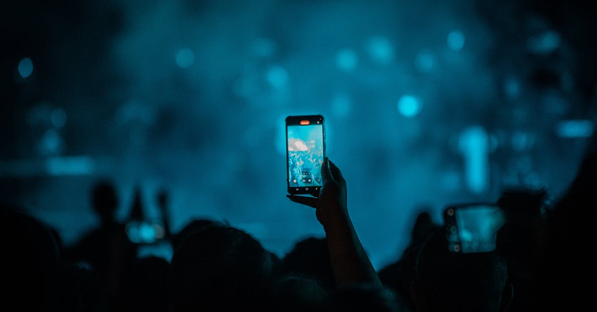 Neversea Kapital: Festivalul care transformă Bucureștiul în capitala distracției